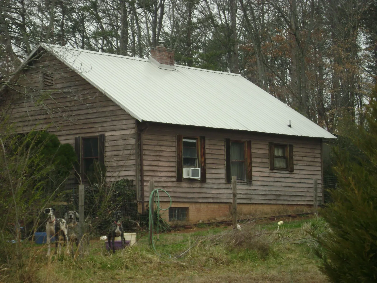 White metal roof on an old wood sided farmhouse, from a Metal Roof Installation job in Wayland